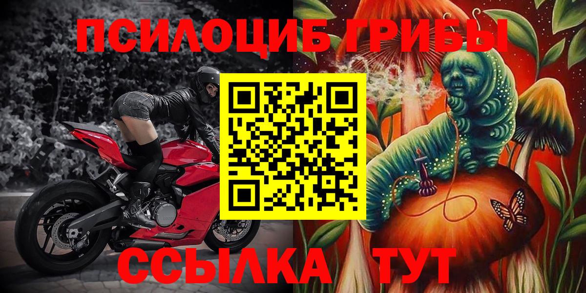 Псилоцибиновые грибы Cubensis  где найти   Зеленогорск  Вход с VPN 